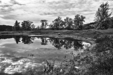 Polonya 'da sonbahar boyunca Warta Nehri üzerindeki çayırlar ve yaprak döken ağaçlar tek renkli.