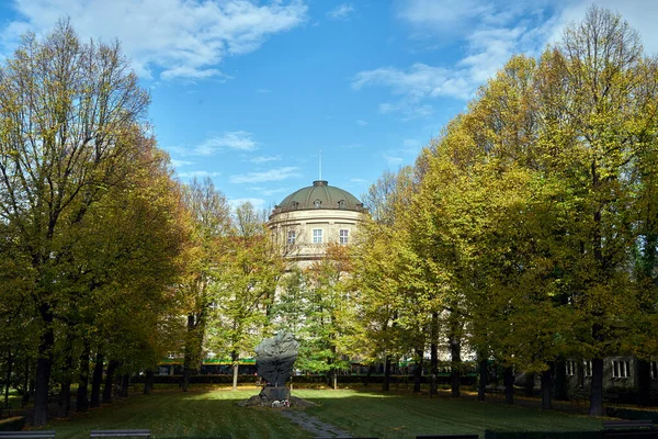 Памятник Лиственные Деревья Парке Осенью Городе Познань — стоковое фото