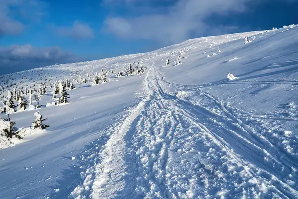 Sendero Turístico Cubierto Nieve Las Montañas Gigantes Polonia — Foto de Stock