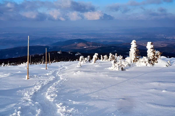 Sendero Turístico Cubierto Nieve Las Montañas Gigantes Polonia — Foto de Stock