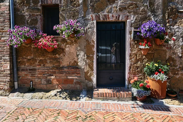 Blomkrukor Med Färgglada Blommor Stenmuren Ett Historiskt Hus Toscana Italien — Stockfoto