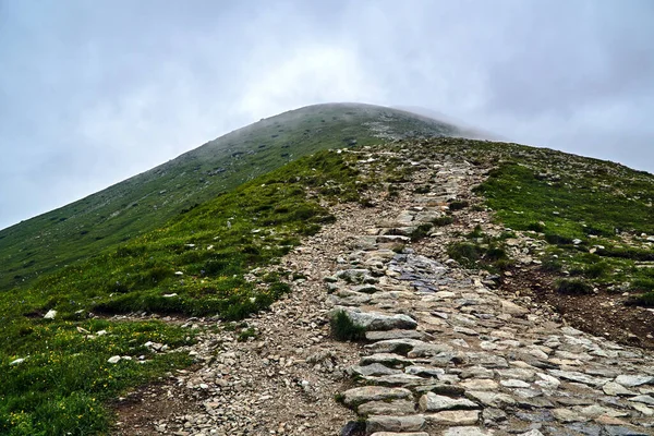 Pedras Uma Trilha Turística Uma Encosta Montanha Nas Montanhas Tatra — Fotografia de Stock