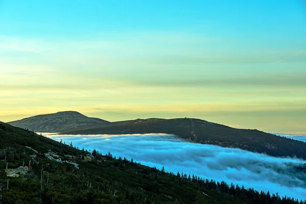 Nuvole Nebbia Sulla Foresta Conifere Nelle Montagne Dei Monti Giganti — Foto Stock