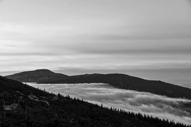 Polonya 'nın dev dağlarındaki kozalaklı ormanların üzerindeki bulutlar ve sis, tek renk.