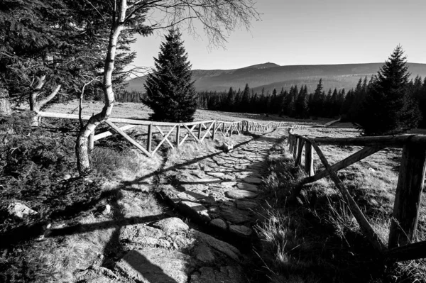 Tourist Trail Clearing Autumn Giant Mountains Poland Monochrome — Stock Photo, Image