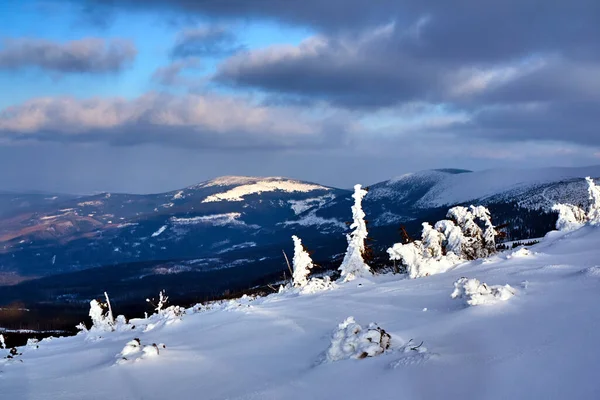 ポーランドの巨大山脈の雪林に埋葬 — ストック写真