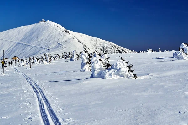 Personnes Auberges Jeunesse Touristiques Hiver Dans Les Monts Géants Pologne — Photo