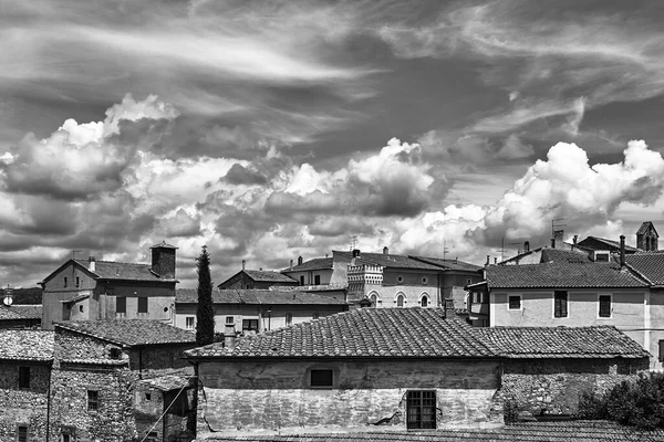 Tak Över Historiska Byggnader Staden Magliano Toscana Italien Monokrom — Stockfoto