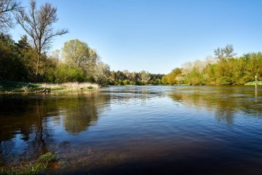 Yaprak döken orman ve Polonya 'da geniş bir alana yayılmış Warta Nehri