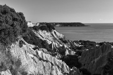 Yunanistan 'ın Zakynthos adasındaki Gerakas plajında kayalık, tek renkli.
