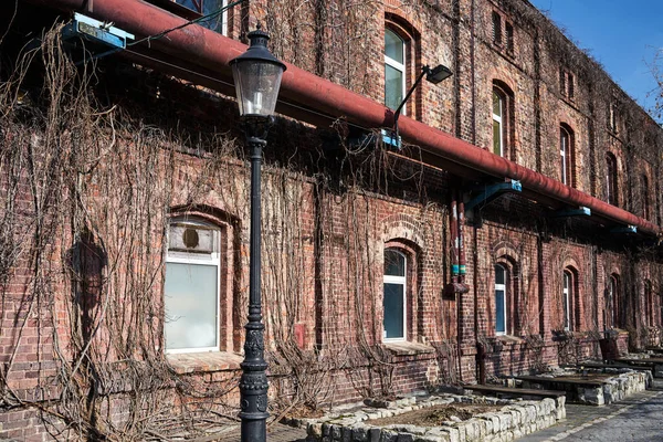Muur Van Een Historisch Stenen Huurhuis Stad Poznan Bedekt Met — Stockfoto