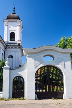 Poznan 'daki tarihi kilisenin kapısı ve kulesi.