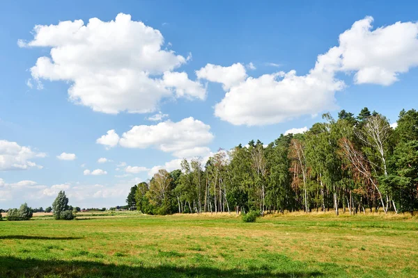 波兰有草地和落叶森林的农村景观 — 图库照片