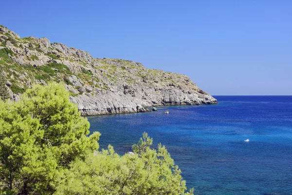 Ile kayalık bir koyda çam — Stok fotoğraf