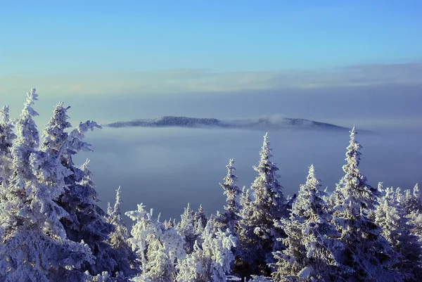 山冬季风景 — 图库照片