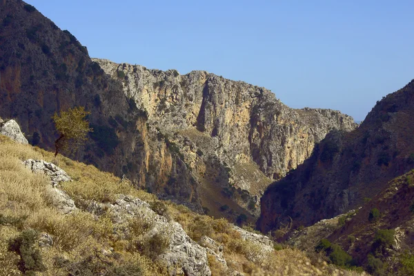岩の多い峡谷 — ストック写真