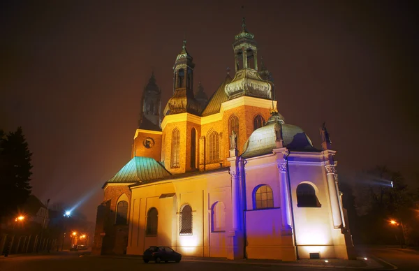 Kathedraal kerk in mistige avond — Stockfoto
