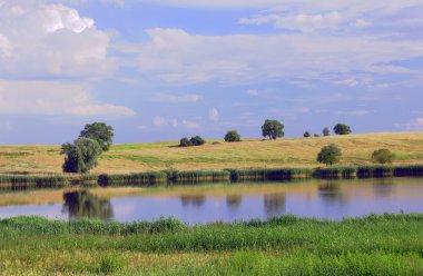 Bir göl ile kırsal manzara