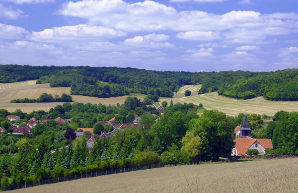 Landsbygdens sommarlandskap — Stockfoto