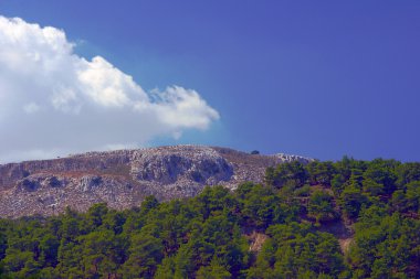 Kayalık tepesi ve çam ormanı