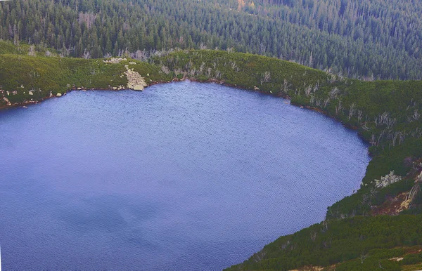 거 대 한 산에서 큰 연못 — 스톡 사진