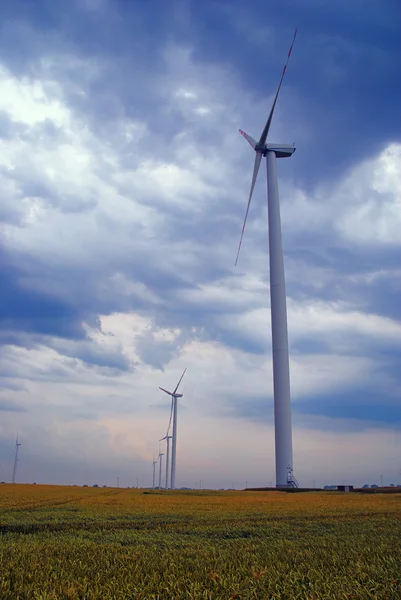 Parcs éoliens sur prairie — Photo