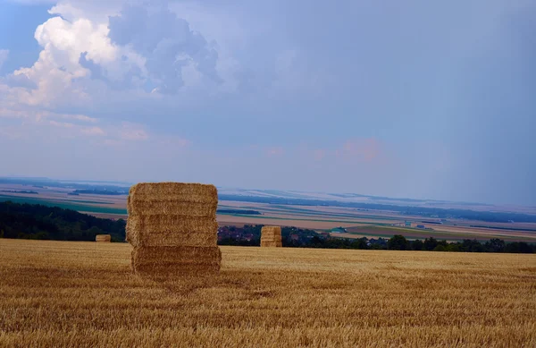 Paysage rural après récolte — Photo