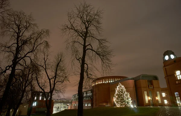 Christmas tree in city park at night — Stock Photo, Image