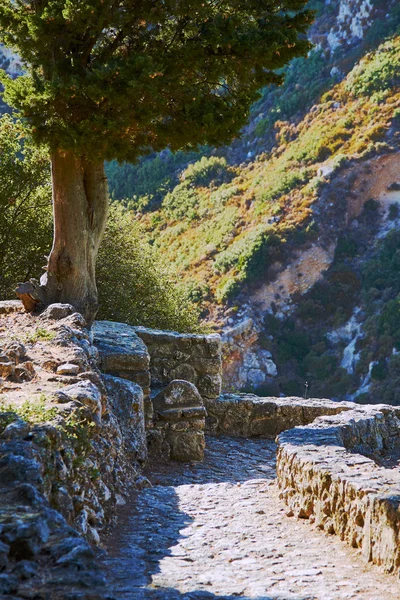 Stone pad in de ruïnes van het kasteel — Stockfoto