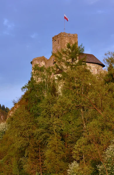 Burg auf dem Hügel — Stockfoto