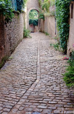 Arnavut kaldırımlı alleyway