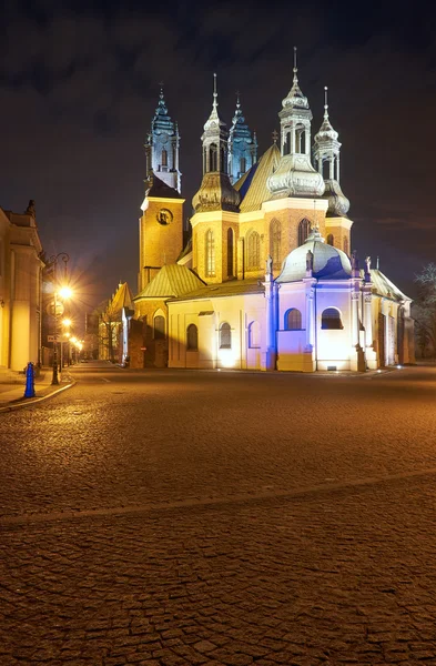 밤에 고딕 성당 탑 — 스톡 사진