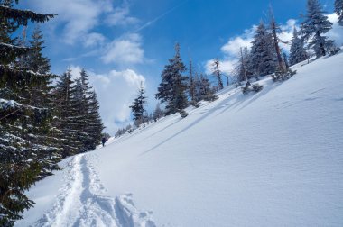 İz hiking karda gömülü