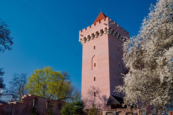 La tour du Château Royal — Photo