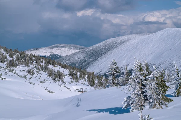 Winterlandschaft an einem sonnigen Tag im Riesengebirge — Stockfoto