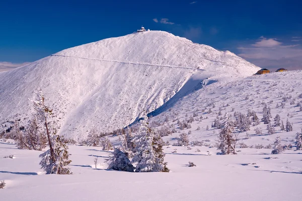 Üstünde belgili tanımlık tepe dev dağlarda siper al