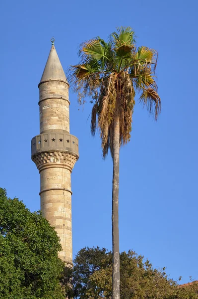 Palma ve Türk minret — Stok fotoğraf