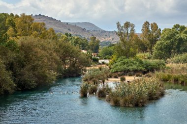 Yunanistan 'ın Girit adasındaki Georgioupoli' de nehir boyunca çalılıklar ve sazlıklar ve ördekler