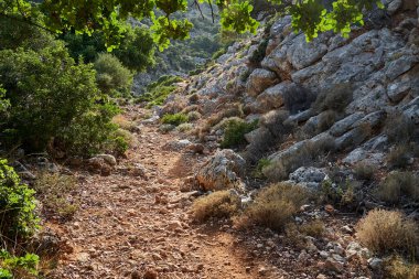 Yunanistan 'ın Girit adasındaki dağlarda kayalar ve taşlar arasında yürüyüş izleri