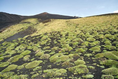 Katı lav ve İtalya 'nın Sicilya adasındaki Etna Dağı' nın etkin yamaçları.