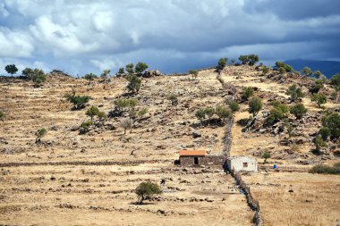 Lezbiyen adasındaki kayalık bir yamaçta otlak, Yunanistan, Asya
