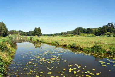 Çayırlar, tarım arazileri ve yaz boyunca Obra Nehri rezervuarı, Polonya