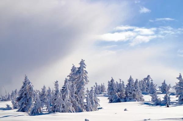 Paisaje invernal en un día soleado en las montañas gigantes — Foto de Stock