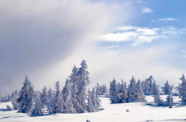 Paisaje invernal en un día soleado en las montañas gigantes Fotos De Stock