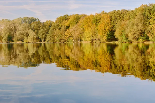 湖上的落叶树 — 图库照片