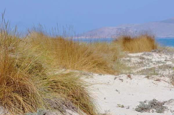 Dunes de sable au bord de la mer — Photo