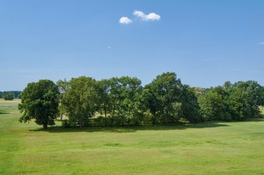 Bir çayır ağaçlarda ile yaz aylarında manzara
