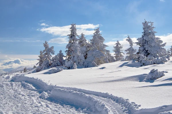 Begravd i snö vandringsled i Giant Mountains — Stockfoto