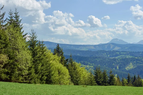 Montaña paisaje en primavera — Foto de Stock