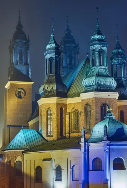 Kathedraal van Sint peter en paul in poznan in de mist — Stockfoto